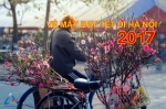 Vé máy bay tết 2017 giá rẻ đi Hà Nội